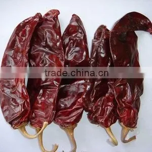 Hot Sale Top Quality New Dried Sweet Paprika thumbnail-1