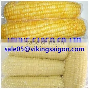 HOT SELLER_FROZEN CORN_FROM VIETNAM ! thumbnail-1