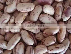 Kidney Bean thumbnail-5