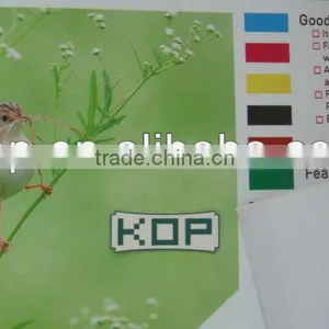 Economical Calendered White Glossy Vinyl thumbnail-1