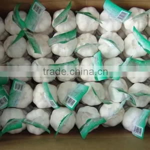 China 2016 Fresh Garlic thumbnail-1