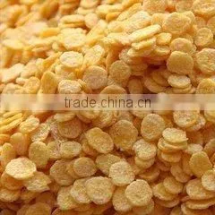 Hot Sale Automatic Breakfast Cereals/Corn Flakes Processing Line thumbnail-6