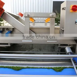 Good Quality High Pressure Vegetable Washing Machine thumbnail-5