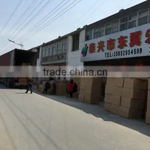 Taixing Eastwing Musical Instruments Factory company overview - view 1 thumbnail