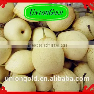 Light Yellow Fresh ya Pear Bulk Purchase thumbnail-1
