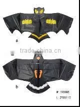 Kites thumbnail-1