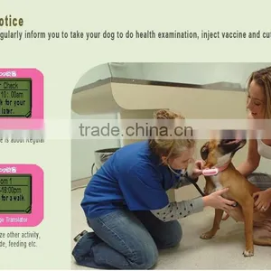 High-end Pet Supplies thumbnail-1