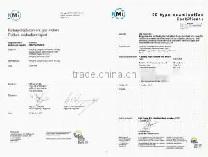 Zhejiang Cangnan Instrument Group Co., Ltd. company overview - view 2 thumbnail