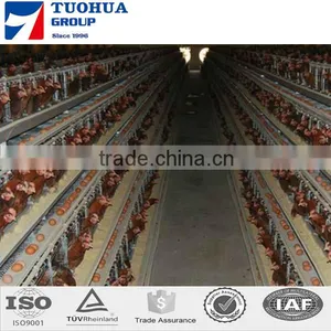 Chicken Poultry Layer Cage for Sale,layer Poultry Cages thumbnail-2