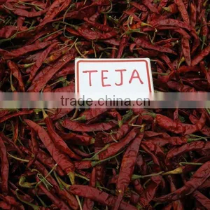 Red Chilli thumbnail-1