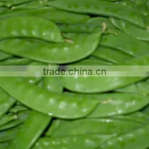 Snow Peas thumbnail-1