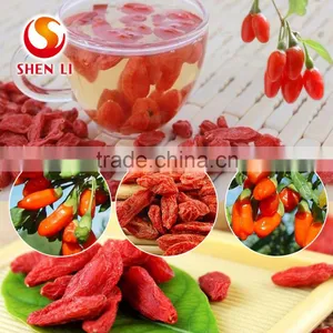 Ningxia Goji Berries is the Best Tonic thumbnail-1