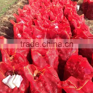 Fresh Onion From Egypt High Quality thumbnail-5