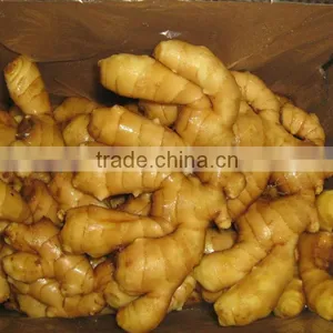 Cheap Fresh Ginger With Good Quality thumbnail-1