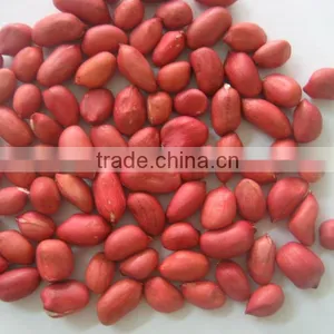 Red Skin Peanut Kernels thumbnail-1
