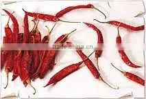 S17 / Teja Chilli thumbnail-1