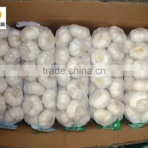 Nuisanceless Dried Pure White Garlic thumbnail-2