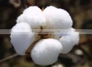 Cotton Fiber Opening Machine Polyester Fiber Carding Machine Price thumbnail-5