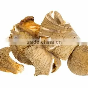 Detan Wholesale Dried Oyster Mushrooms for Customer thumbnail-4