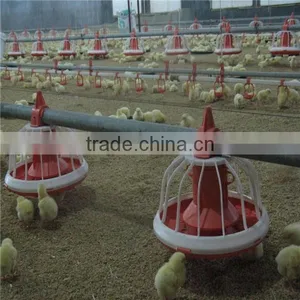Chicken Feeder Pan thumbnail-5