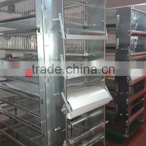 China Sell Automatic Quail Cages and Equipment thumbnail-1