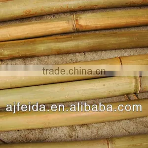 Bamboo Produce &bamboo Cane thumbnail-1