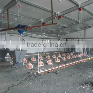 Big & Economic Light Prefab Steel Structure Chicken House thumbnail-1