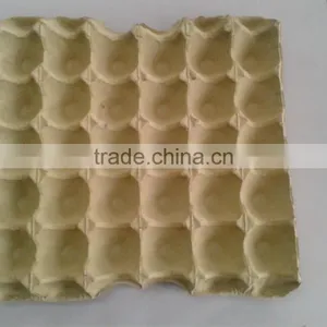 Egg Tray thumbnail-1