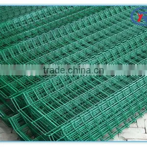 Plastic PVC Coated Welded Mesh Panel/6x6 Reinforcing Welded Wire Mesh(china Supplier) thumbnail-4