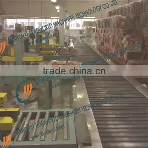 Roller Conveyor for Biscuit Packing thumbnail-1