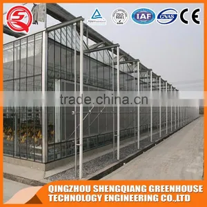 Agricultural Equipment Glass Greenhouses With Strong Wind Load Capacity thumbnail-2