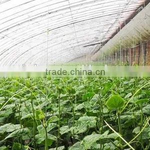 Commercia Agriculturel Low Cost Greenhouse for Sale thumbnail-1