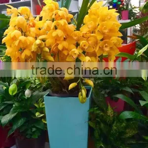 2016 New Garden Pot Garden Flower Pots Garden Planter Decoration Flower Panters thumbnail-2