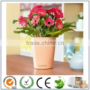 Hot Sale Self Watering Water Storage Planter thumbnail-6