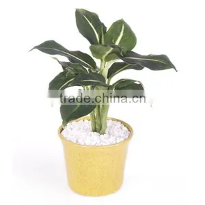 Bamboo Fiber Flower Pot thumbnail-6