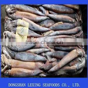 Whole Illex Squid Frozen thumbnail-1