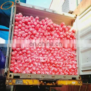 Orange Plastic Safety Fence/construction Safety Mesh/plastic Net thumbnail-6