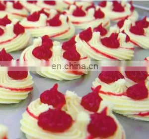 Longyu PLC Machine Cookie Biscuit Wire Cut Making Machine For Bakery Snack thumbnail-6