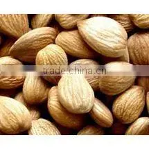 Factory Supply Natural Sweet Almond Oil thumbnail-1