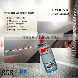 Car Touch Up Paint in a Spray Can thumbnail-1