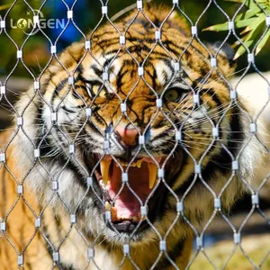 Zoo Tiger Enclosure Mesh