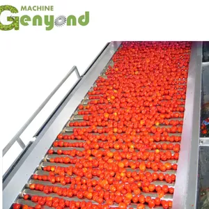 Tomato Ketchup Making Machine12 thumbnail-3