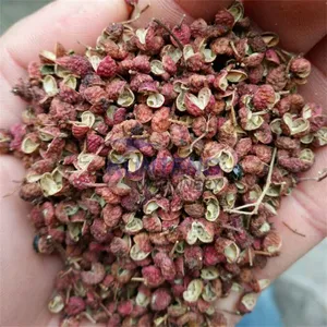 Heat Pump Air Dryer Room Hay Straw Black Pepper Drying Machine Sri Lanka Grapes Drying Machine EPC thumbnail-4