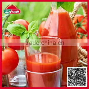 Tinned and Plastic Packed Canned Tomato Paste thumbnail-3