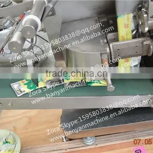 Automatic Double Filter Small Tea Bag Packing Machine Price With Thread and Tag Shanghai Factory thumbnail-6