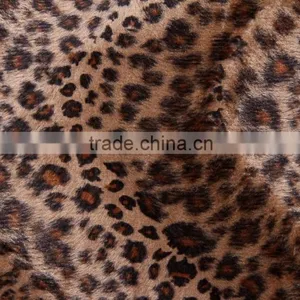 Cat Igloo thumbnail-6