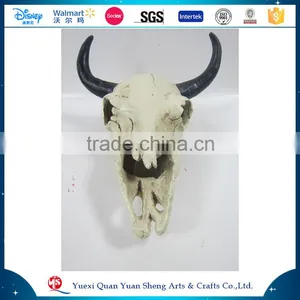 Human and Animal Resin Skull,Customized Skull thumbnail-1