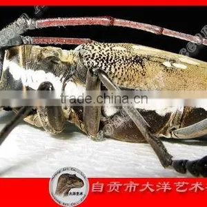 Metal Insects thumbnail-1