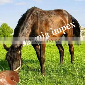 Animal Lick Salt (Organic Salt for Live Stock) thumbnail-1