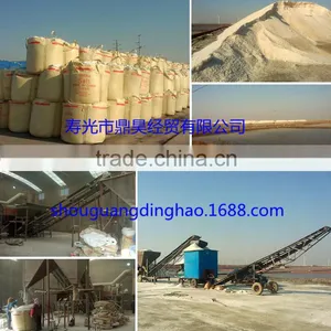 Shouguang Dinghao Trading Co., Ltd. company overview - view 1 thumbnail